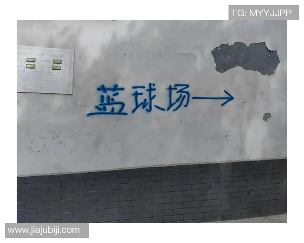 抛物线篮球馆是否可以进入的详细探讨与分析
